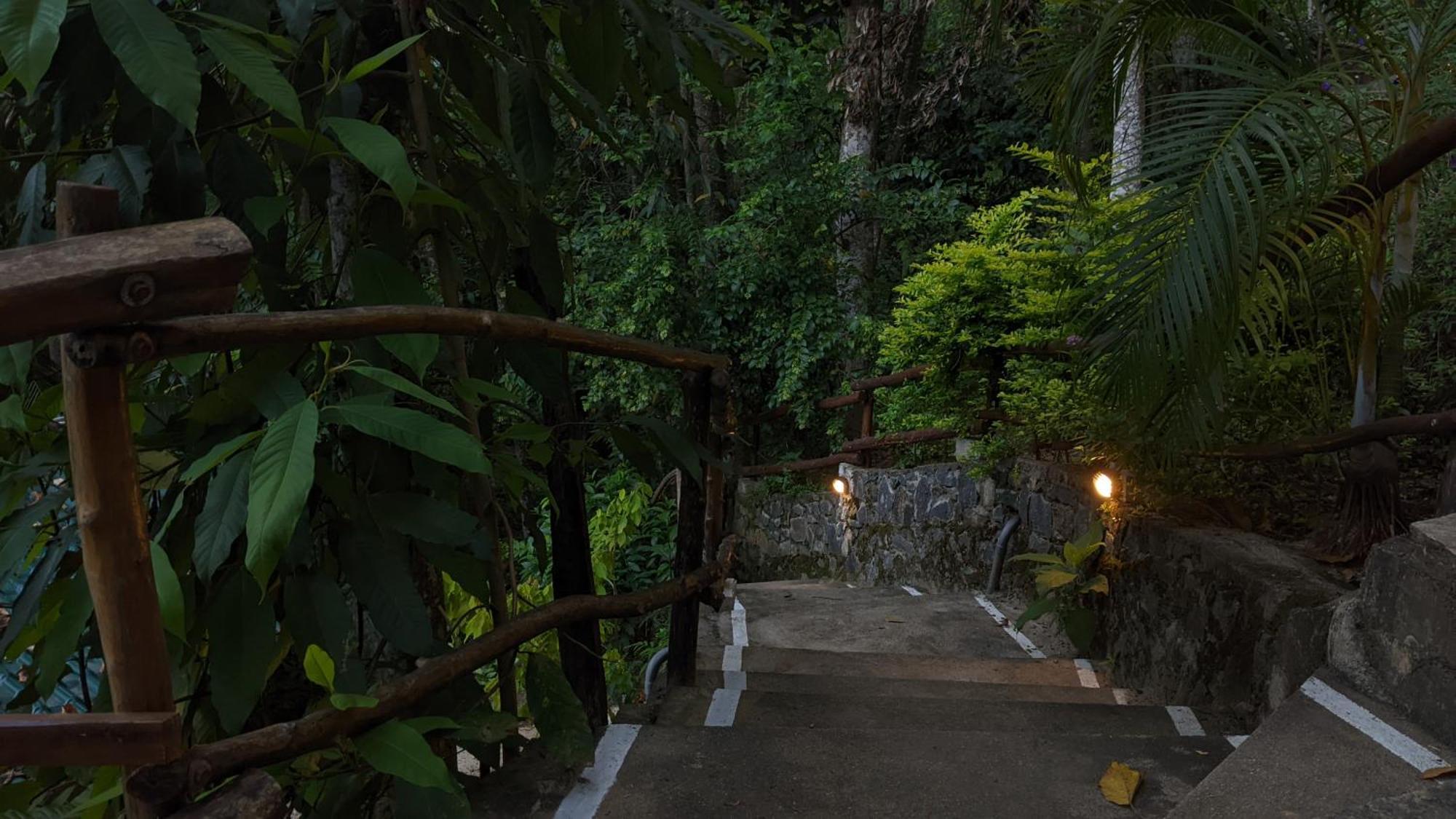 Arana Sri Lanka Eco Lodge And Yoga Center เอลลา ภายนอก รูปภาพ